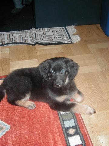 ebba2small.jpg