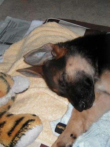 p1010008_2small.jpg